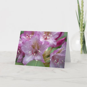 Pink Rhody Card