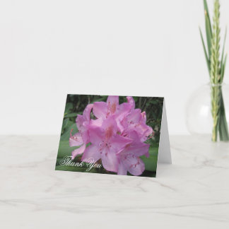 Pink Rhody Thank You