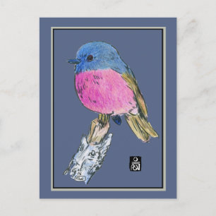 Pink Robin Colourful Small Bird Postcard