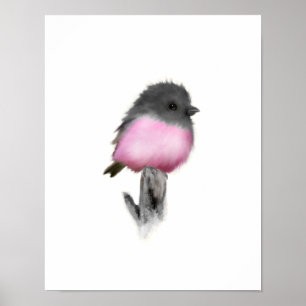 Pink Robin Poster Print