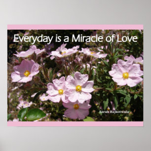 Pink Rock Roses Garden Flowers Love Poster