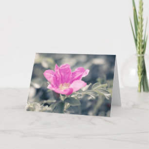 Pink Rosa Flower Note  Card