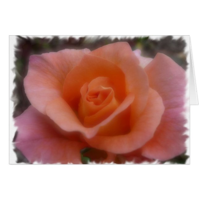 Pink Rose (Front Horizontal)