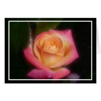 Pink Rose