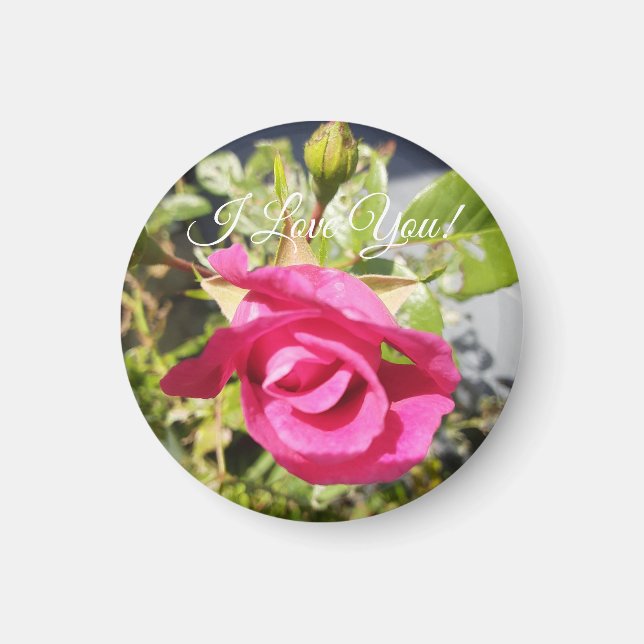 Pink Rose#2 Magnet (Front)