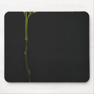 Pink rose 3 mouse mat
