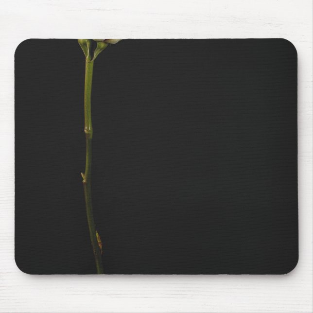 Pink rose 3 mouse mat (Front)