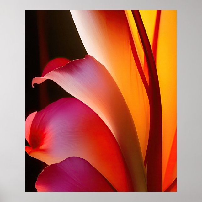 Pink Rose Abstract Floral Poster (Front)