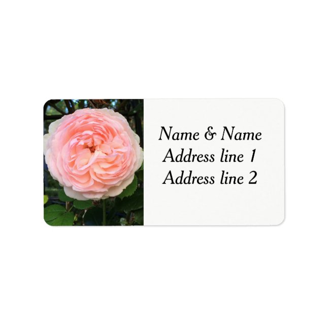 Pink rose address labels (Front)