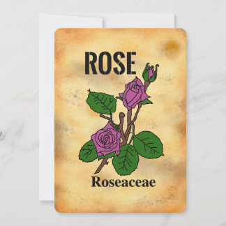 Pink rose aged paper style line art Flat Card