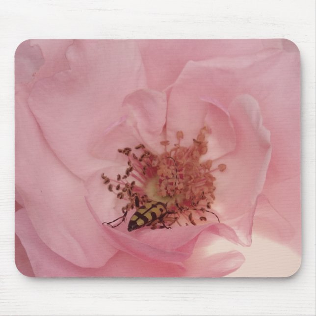 Pink Rose and a bug Photography  Mousepad (Front)