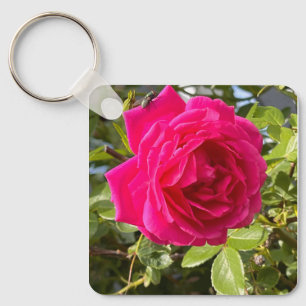 Pink Rose and a Fly Key Ring