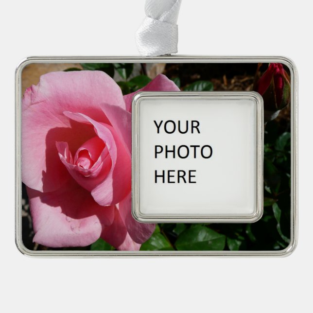 Pink Rose and Bud Garden Floral Silver Plated Framed Ornament (Front)