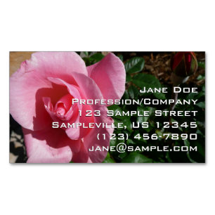 Pink Rose and Bud Magnetic Business Card