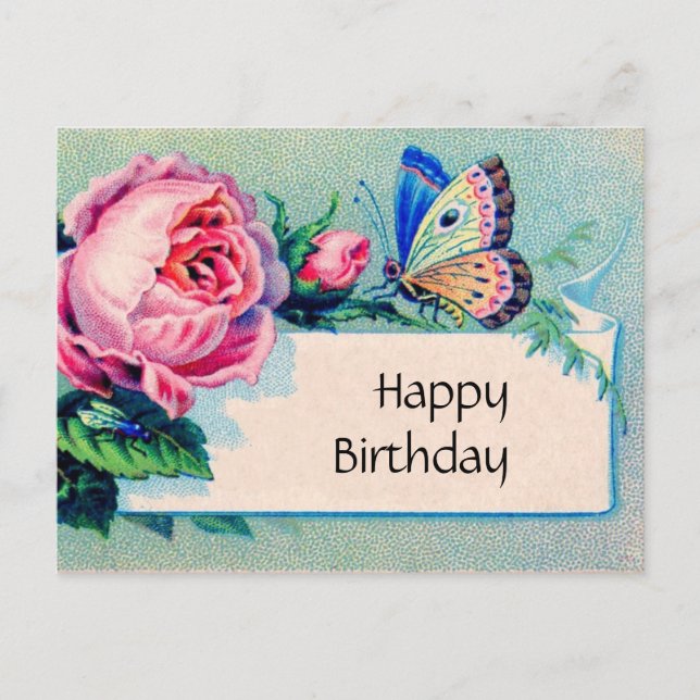 Pink rose and butterfly: Happy Birthday Postcard (Front)