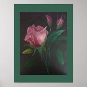 Pink Rose and Rosebuds Poster