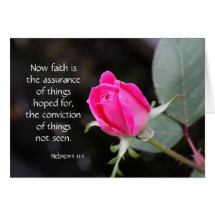 Pink Rose, Bible verse (Hebrews) on faith hope