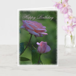 Pink Rose Birthday Greetings Card