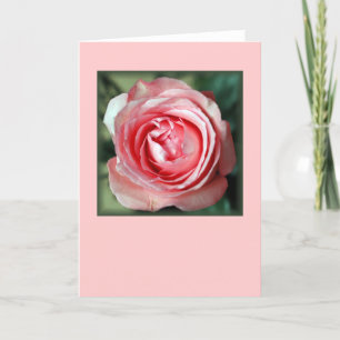 "Pink Rose" (Blank) Card