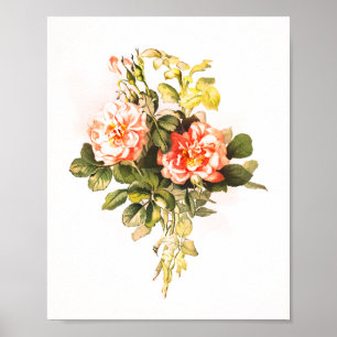 Pink Rose Bouquet Vintage Floral Poster