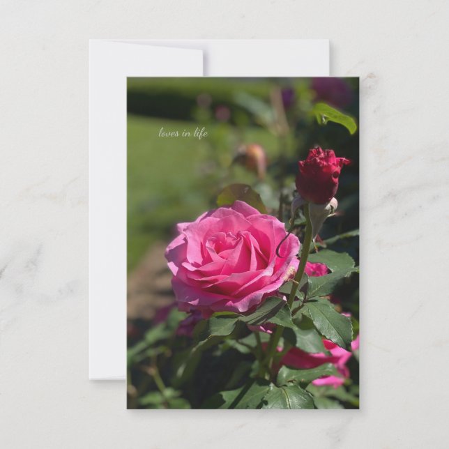 Pink Rose & Bud Card (Front)