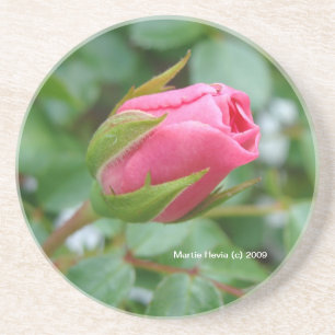 Pink Rose Bud - Coaster
