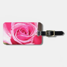 Pink Rose Bud Flower Floral Photo