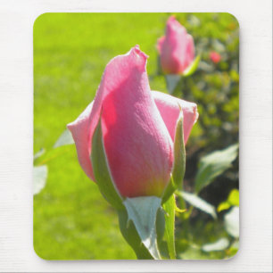 Pink Rose Bud Mouse pad
