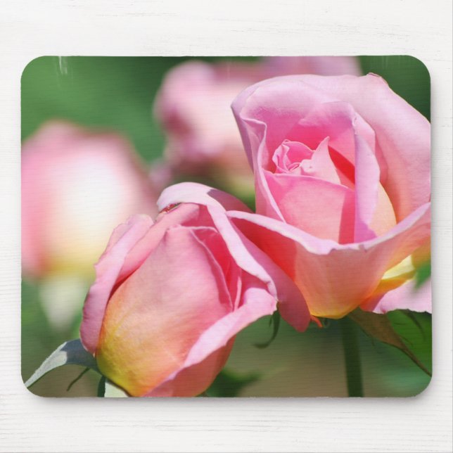 Pink Rose Bud  Mouse Pad (Front)