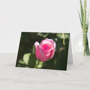Pink Rose Bud Sympathy Card
