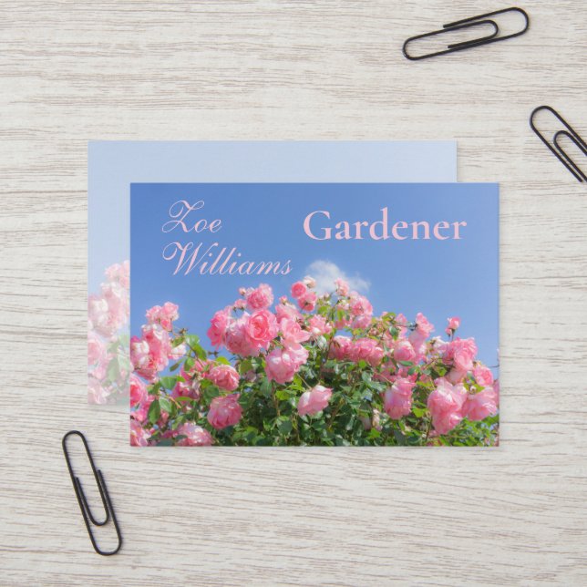 Pink rose bush under blue sky, custom  business card (Front/Back In Situ)