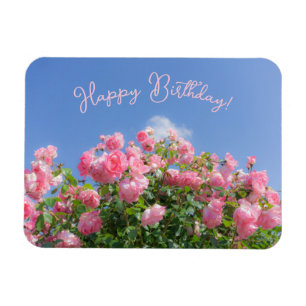 Pink rose bush under blue sky, custom  magnet