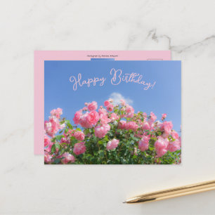 Pink rose bush under blue sky, custom postcard