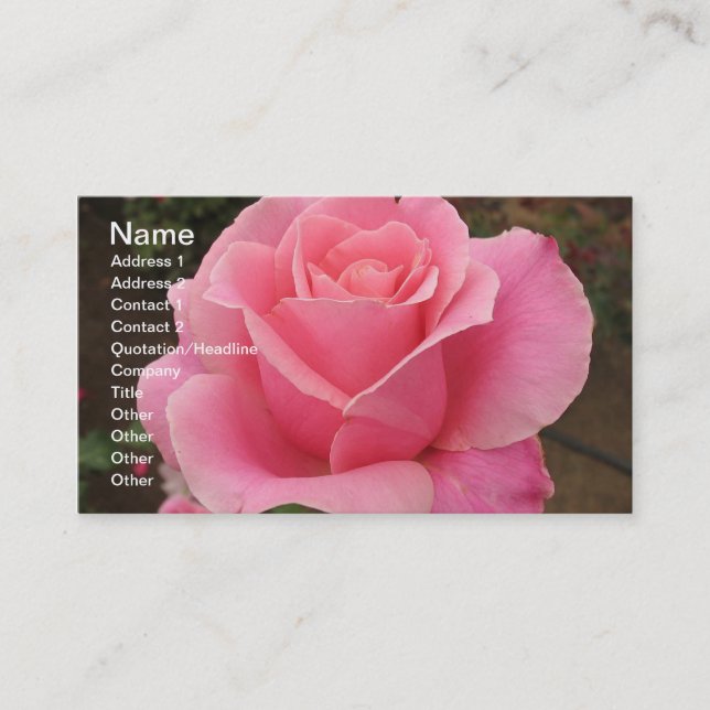 Pink Rose Business Card (Front)