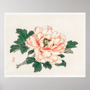 Pink rose by Kōno Bairei (1844-1895 Poster