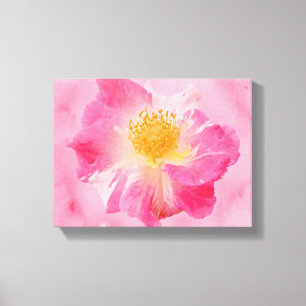 Pink Rose Canvas Print