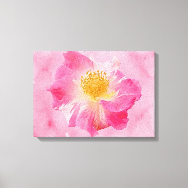 Pink Rose Canvas Print (Front)