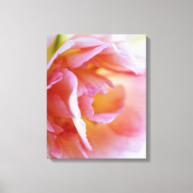Pink Rose Canvas Print (Front)