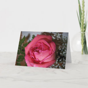 Pink Rose Card