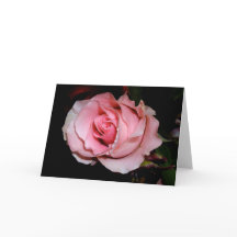 Pink Rose Card