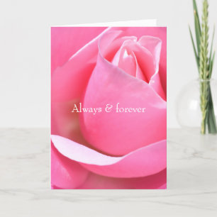 Pink Rose Card