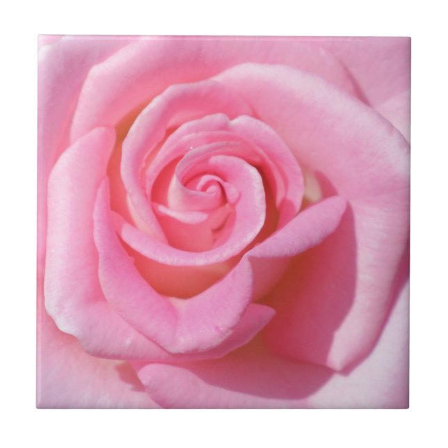 Pink Rose Ceramic Tile (Front)