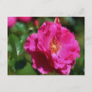 Pink Rose Chalk Drawing Floral Postcard