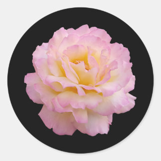 pink rose classic round sticker