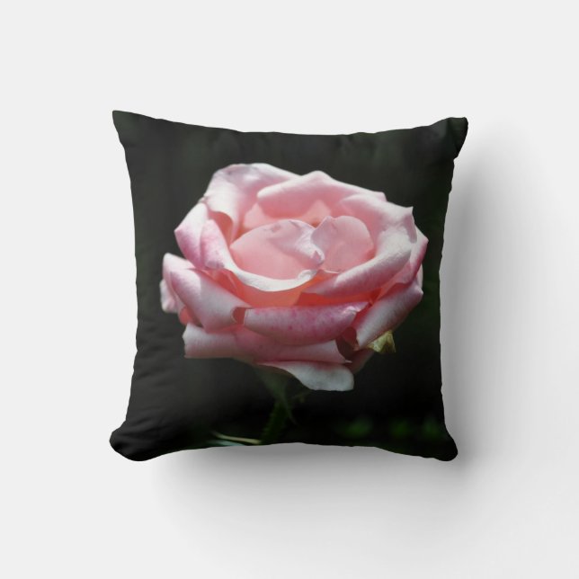 Pink Rose Close-up Cushion (Front)