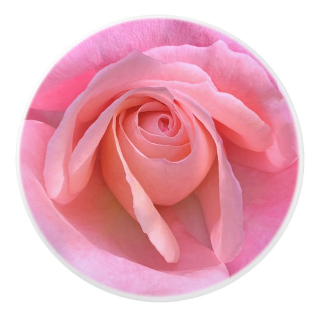 Pink rose closeup ceramic knob (Front)