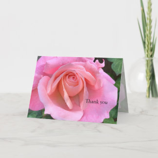 Pink rose closeup thank you card