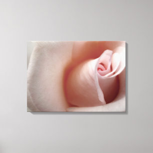 Pink Rose Cloud Canvas Print