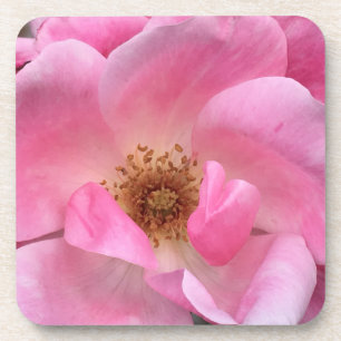 Pink Rose Coaster