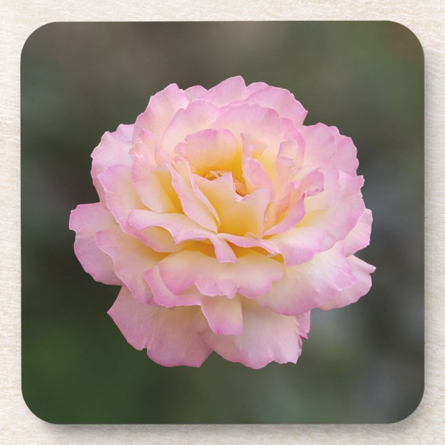 pink rose coaster (Front)